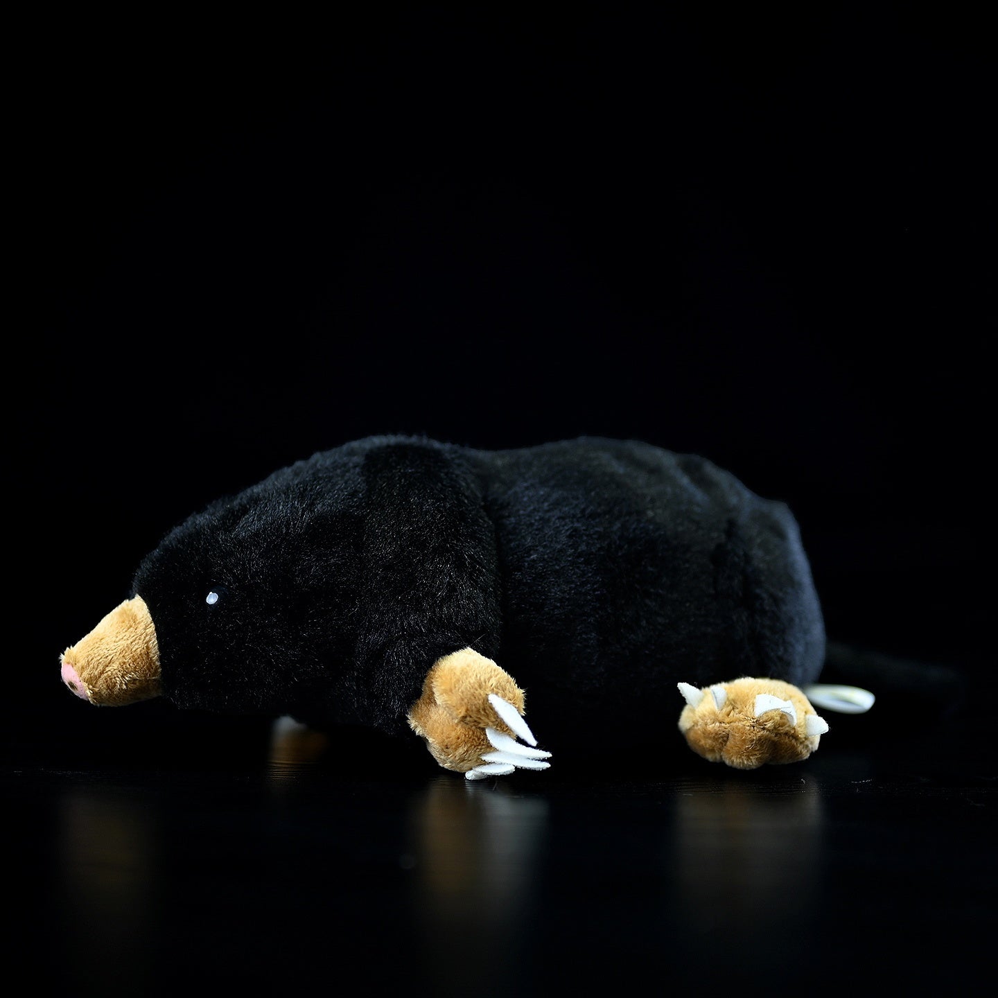 842478008-7